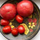 Как сохранить здоровье в Великий пост: объяснил диетолог