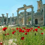 Горы и миллион улыбок: 7 причин влюбиться в Турцию