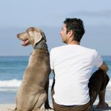 Гороскоп домашних животных по знаку зодиака