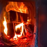 Видео спасения 25 собак из горящего здания восхитило народ