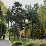 Собянин сообщил о планах реабилитации парка 