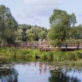 Собянин заявил об отсутствии планов по строительству на территории 