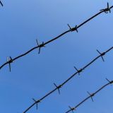 Взяли на карандаш: налоговая проверит доходы Бузовой, Бони и Бородиной