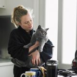 Веский повод завести кошку: помогает бороться со стрессом