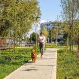 Собянин рассказал о благоустройстве у новых станций БКЛ