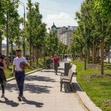 Собянин заявил, что до конца года вдоль магистралей высадят 4 тысячи деревьев