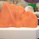 Столичные ученые разработали модель печени человека для обучения врачей