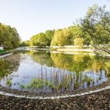 Завершилась реконструкция Лианозовских прудов