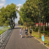 В Кунцеве благоустроят набережную затона Москвы-реки