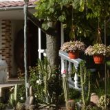 Тест: проверь свои знания о дачных делах / Ответят только настоящие садоводы-огородники