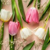 Тест: хорошо ли вы знаете настоящую историю 8 Марта? / 8 вопросов о Международном женском дне / Справитесь?