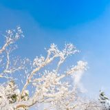 Тест: насколько хорошо вы знаете весенние приметы / Ответят только настоящие эрудиты / Вы в их числе? 