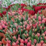 Королева – подешевле, Пегова – подороже / любимые цветы российских звезд / сравниваем предпочтения знаменитых женщин РФ