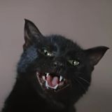 ТЕСТ: вспомните название фильма СССР по кадру с животным