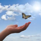 Практика прощения: как научиться прощать себя и других за совершенные ошибки?