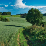 Тест: угадайте известный советский фильм по кадру в деревне