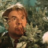 ТЕСТ: угадайте любимый советский новогодний фильм по кадру с елкой