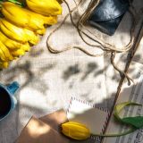 Тест: угадайте любимые советские фильмы по знаменитым песням о весне