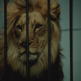 Тест: развейте самые вопиющие мифы о любимых советских фильмах