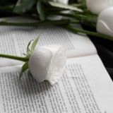 Тест: сможете ли вы отличить поэзию классиков от творчества нейросети?