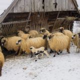 11 ноября – опасный день: что ни в коем случае нельзя делать, чтобы не навлечь беду в дом